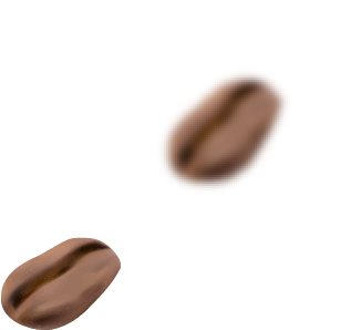Beans