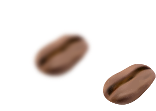Beans