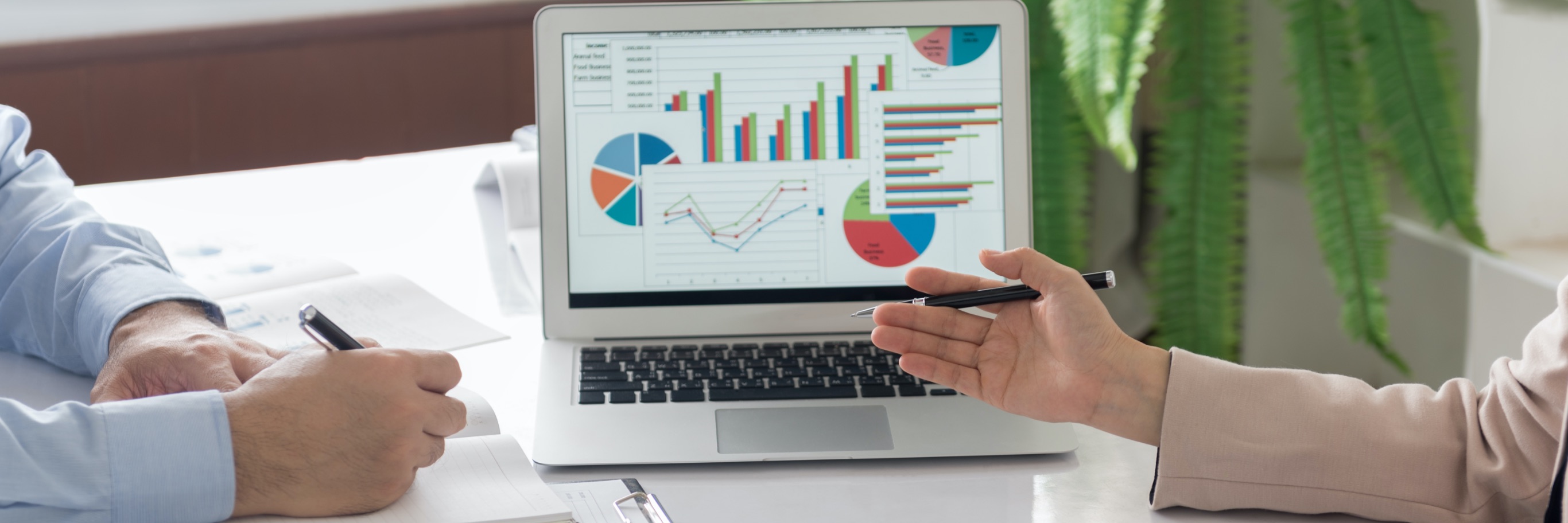 SEO and SEA Solutions SEO and SEA Solutions